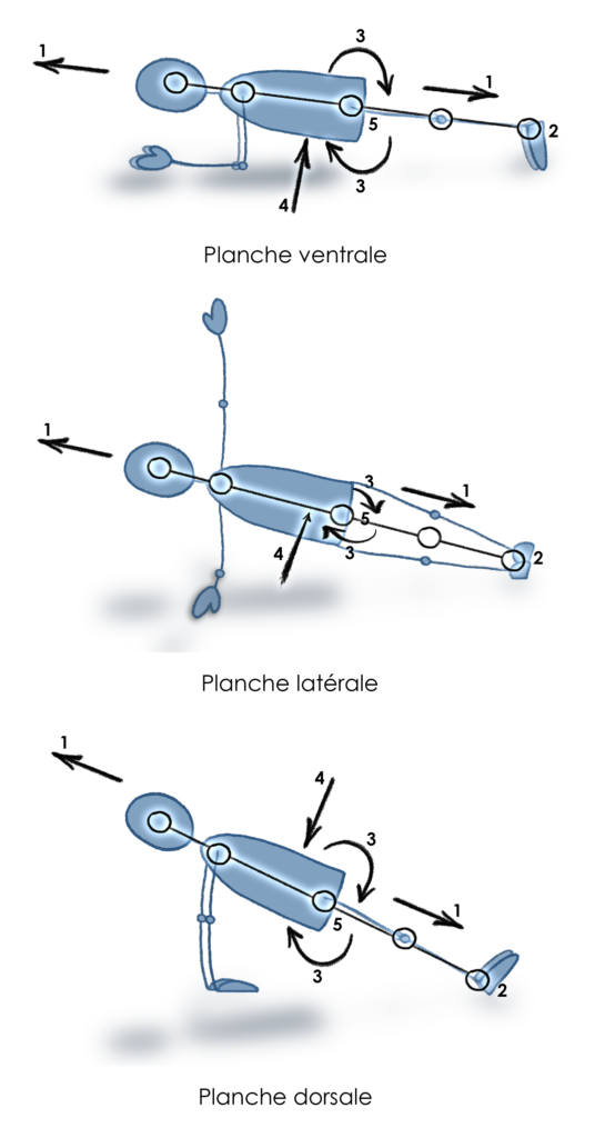 Cabinet ostéopathie hypnose hypnothérapie finistère guilvinec Hadrien Corjon ostéopathe hypnothérapeute bigouden 29 conseils gainage planche ventrale dorsale latérale renforcement musculaire lombalgie lumbago ventre plat muscle